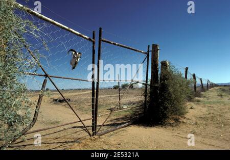 Il Dingo Fence o Dog Fence è una recinzione ad esclusione di parassiti, mostrata qui una delle molte porte lungo la recinzione, Outback Australia. Foto Stock