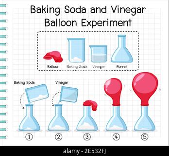 Esperimento scientifico con bicarbonato di sodio e aceto palloncino illustrazione Illustrazione Vettoriale