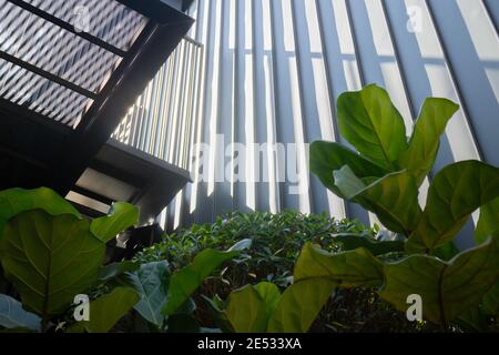 Ristorante all'aperto con piante verdi, foto d'inventario Foto Stock