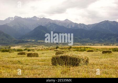 Mucchi di fieno su un prato verde vicino alla aul in montagna in asia centrale. Foto Stock