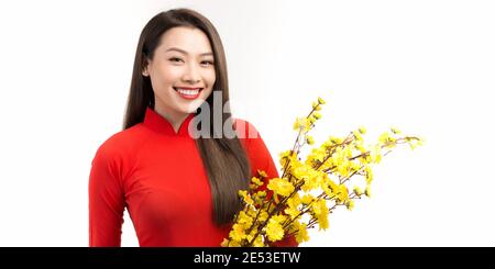 Immagine concettuale di un elegante sfondo lunare di Capodanno. Giovane donna vietnamita con fiore giallo su sfondo bianco. Foto Stock