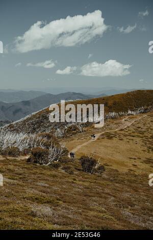 Vista sulle montagne all'inizio del Razorback Trekking Trailhead a Monte piuma. Preso dalla strada vicino a Mount Hotham Summit Area. Foto Stock