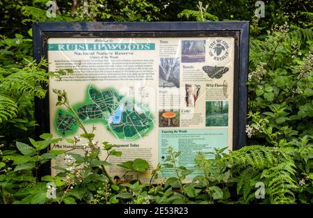 Benvenuto & informazioni bordo di Ruislip Woods con mappa, illustrazioni, foto e regole di Ruislip Woods Trust, circondato da vegetazione in eccesso. Foto Stock