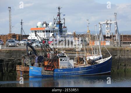 Troon Harbour, Ayrshire, Scozia, Regno Unito. Il porto di Troon svolge un ruolo fondamentale nelle catene di fornitura scozzesi ed è situato sulla costa occidentale dell'Ayrshire, vicino al campo da golf Royal Troon. Il porto di Troon offre uno dei porti più protetti della costa occidentale della Scozia. Foto Stock