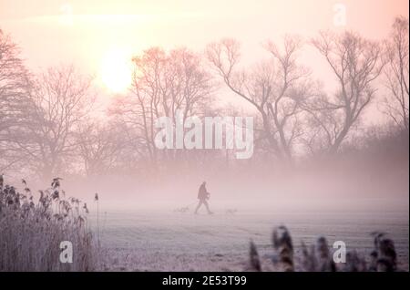 Amburgo, Germania. 26 gennaio 2021. Un uomo cammina con due cani attraverso un prato ghiacciato all'alba e nebbia leggera nella riserva naturale Boberger Niederung nel quartiere di Billwerder. Credit: Daniel Bockwoldt/dpa/Alamy Live News Foto Stock