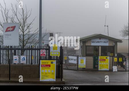 Bandon, West Cork, Irlanda. 26 gennaio 2021. ABP Bandon ha subito un focolaio di COVID-19 nello stabilimento di Bandon. Un portavoce della AB ha confermato che nello stabilimento sono presenti 66 casi di COVID, con conseguente riduzione della capacità dell'impianto. Credit: AG News/Alamy Live News Foto Stock