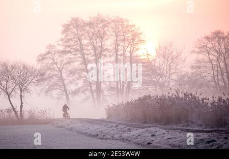 Amburgo, Germania. 26 gennaio 2021. Un uomo corre in bicicletta lungo un sentiero tra prati ghiacciati nella riserva naturale Boberger Niederung nel quartiere di Billwerder all'alba e nella nebbia leggera. Credit: Daniel Bockwoldt/dpa/Alamy Live News Foto Stock