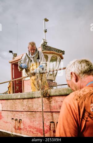 I pescatori che sbarcano le loro catture di granchi di Spider sullo Stade nella città vecchia di Hastings, nell'Inghilterra orientale del Sussex - pescatori di granchio Regno Unito Foto Stock