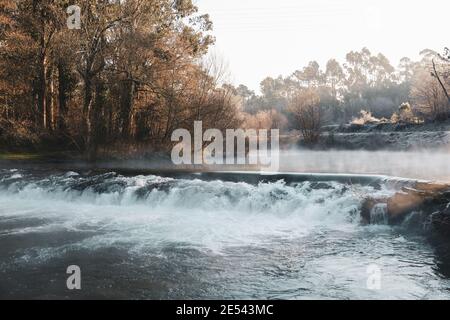 Bellissimo colpo di vapore che si alza dal fiume con la foresta verde oltre Foto Stock