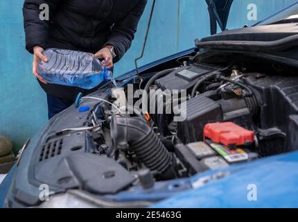 versare l'antigelo nel serbatoio del liquido speciale Foto Stock