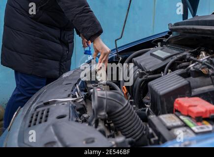 versare l'antigelo nel serbatoio del liquido speciale Foto Stock