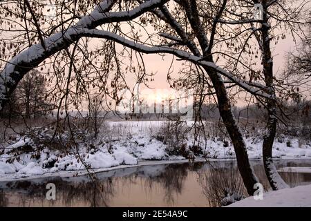 Inverno alba sul fiume tra gli alberi, Polonia, Suprasl Foto Stock