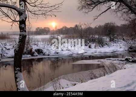 Inverno alba sul fiume tra gli alberi, Polonia, Suprasl Foto Stock