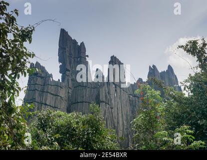 Vista panoramica di massiccia e insolita formazione di roccia carsica o. Affioramento conosciuto come Mohini Shikhara o Yana Caves situato in Yana villaggio nelle foreste di Kum Foto Stock