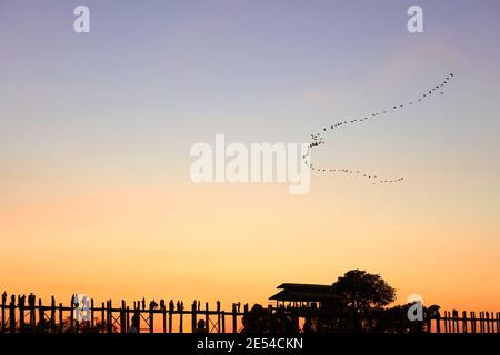 Un gregge di uccelli vola sul ponte U-Bein al tramonto, Amarapura, Mandalay, Myanmar. Foto Stock