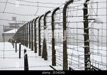 Weimar, Germania. 26 gennaio 2021. Una recinzione a filo spinato presso il monumento di Buchenwald è coperta di cristalli di neve e ghiaccio. In Germania, il 27 gennaio è stato il giorno ufficiale del ricordo delle vittime del nazionalsocialismo dal 1996. Gli eventi del giorno della memoria sono in gran parte trasferiti su Internet quest'anno a causa della pandemia di Corona. Credit: Martin Schutt/dpa-Zentralbild/dpa/Alamy Live News Foto Stock