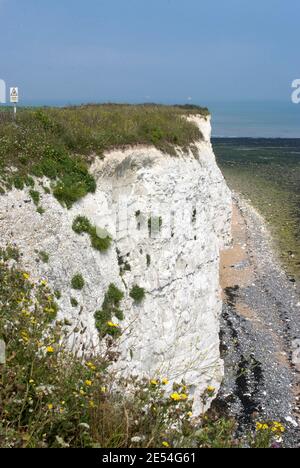 Chalk Cliff Over Stone Bay, Broadstairs, Kent, Inghilterra | NESSUNO | Foto Stock