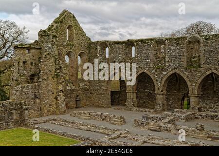 Thomastown, Contea di Kilkenny, Irlanda. 18 aprile 2016. Jerpoint Abbey è un'abbazia cistercense costruita nel 1180 con notevoli incisioni in pietra. Foto Stock