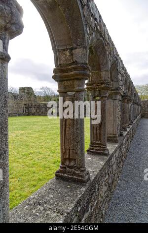 Thomastown, Contea di Kilkenny, Irlanda. 18 aprile 2016. Jerpoint Abbey è un'abbazia cistercense costruita nel 1180 con notevoli incisioni in pietra. Foto Stock