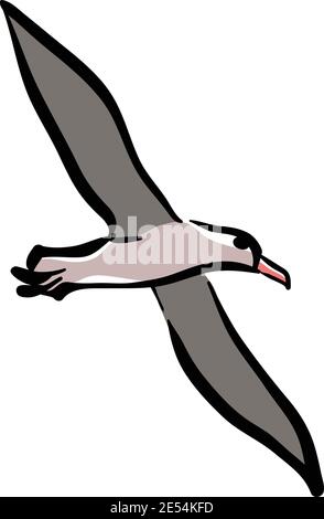 Flying Albatross Bird Illustration Vector isolato su sfondo bianco Illustrazione Vettoriale