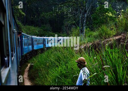 Vista dal treno che guida gli altopiani vicino Ella, Sri Lanka Foto Stock