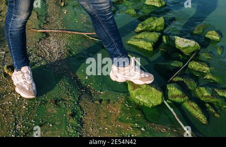 Ragazza in sneakers bianco stare a piedi su rocce verdi di fiume verde con alghe fiorisce in luce solare, piante d'acqua nocive e ambiente danneggiato Foto Stock