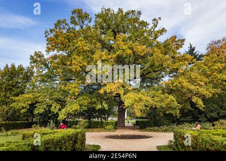 Il Parco Lazienkowski, chiamato anche Parco Lazienki - Terme reali, il più grande parco della città di Varsavia, Polonia Foto Stock