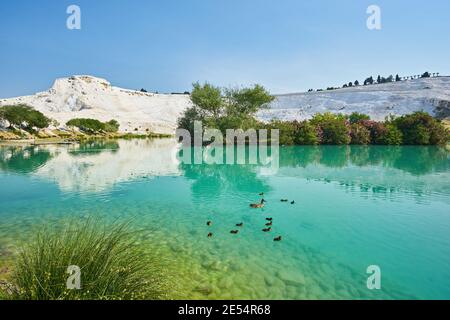 Il piccolo lago di Pamukkale sulla Turchia Foto Stock