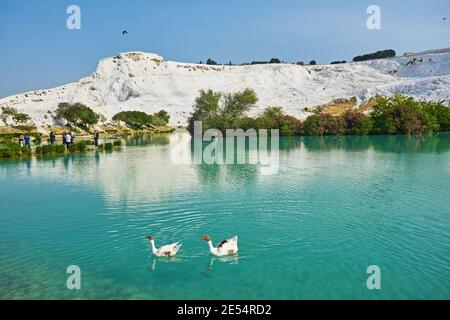 Il piccolo lago di Pamukkale sulla Turchia Foto Stock