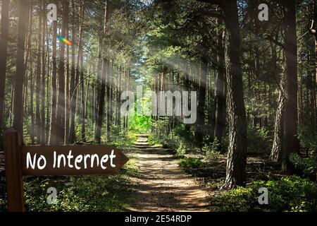 Le parole Nessun Internet scritto su un accesso in Mezzo di una foresta Foto Stock