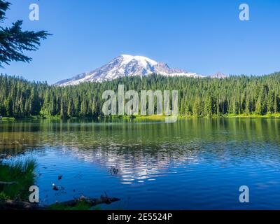 Una delle viste più iconiche del Monte Rainier nel parco si trova a Reflection Lakes. Foto Stock