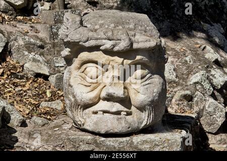 Copan, Honduras, America Centrale: Testa di vecchio uomo scolpito. Copan è un sito archeologico della civiltà Maya vicino al Guatemala Foto Stock