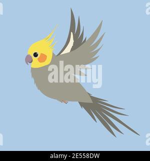 Un'illustrazione vettoriale di un cockatiel maschio grigio in volo Illustrazione Vettoriale