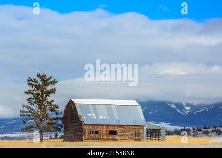 vecchio fienile in inverno sotto il monte baldy emergendo attraverso le basse nuvole vicino a townsend, montana Foto Stock