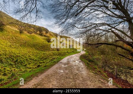 La vecchia strada di cava sotto la scarpata di Cotswold a Cleeve Hill vicino Cheltenham in inverno, Gloucestershire, Inghilterra Foto Stock