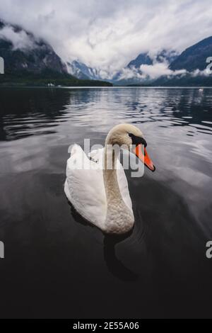 Austria Hallstatt, vista classica del villaggio di Hallstat. Foto Stock