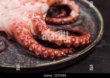 Tentacolo di polipo closeup su piastra di ceramica scura Foto Stock