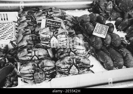 Granchi cotti e aragoste in vendita al mercato del pesce a Trouville-sur-Mer (Normandia, Francia). Foto in bianco e nero Foto Stock