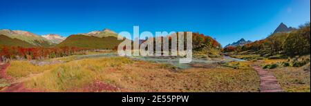 Vista panoramica sulla magica e colorata valle con foreste australi, torbiere, alberi morti, ruscelli glaciali e alte montagne della Tierra del Fuego Natia Foto Stock