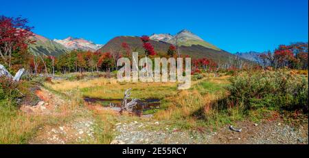 Vista panoramica sulla magica e colorata valle con foreste australi, torbiere, alberi morti, ruscelli glaciali e alte montagne della Tierra del Fuego Natia Foto Stock