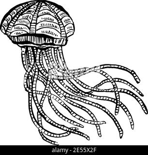 Linea Arte Cartoon Jellyfish Octopus creature del Mar profondo vettore Illustrazione Vettoriale