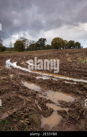 Terreni agricoli loggati in acqua vicino a Monmouth nel Galles del Sud. Foto Stock