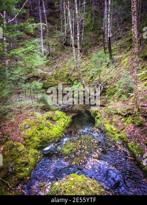 Third Vault Falls Trail nel parco nazionale di Fundy vicino ad Alma, New Brunswick, Canada Foto Stock