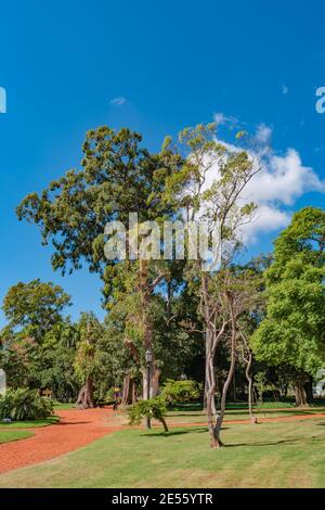 Città di Buenos Aires moderna e vecchia con gli affari e la vita nel quartiere di Palermo, bella natura, parchi e architettura culturale tradizionale a. Foto Stock