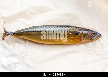 il pesce di sgombro affumicato giace su carta leggera, gustoso spuntino grasso, spazio copia Foto Stock