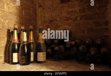 selezione di vecchie bottiglie di vino in una cantina Foto Stock