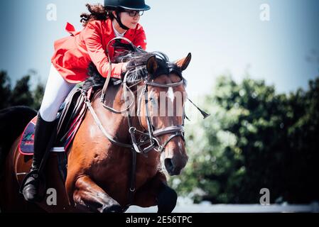 Baron Maya, FEI World Jumping Challenge Israele 2019 Foto Stock