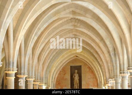 La disvelazione del collegio dei Bernardini costituisce a Parigi, Francia, il 4 settembre 2008. Il Collegio dei Bernardini costituisce uno dei vasti edifici mediavali nel cuore di Parigi. Foto di Giancarlo Gorassini/ABACAPRESS.COM Foto Stock