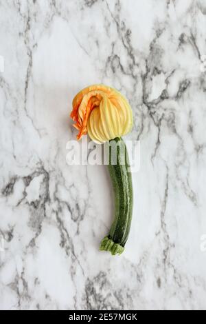 Una sola volta baby Courgette o zucca Zucchini con fiore su uno sfondo di marmo. Immagine ripresa dalla vista superiore. Foto Stock