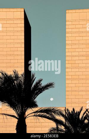 Silhouette of two palm trees against the moon and brick pattern building Foto Stock